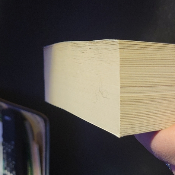 Wizard's First Rule (Sword of Truth series, Book 1) - Picture 4 of 4